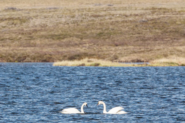 1703754185144266.jpg 碳5.jpg