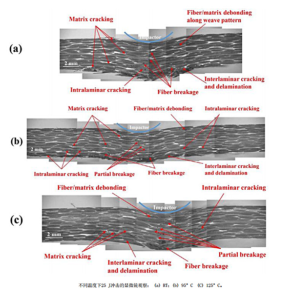 CFPPS層壓板內部損傷圖